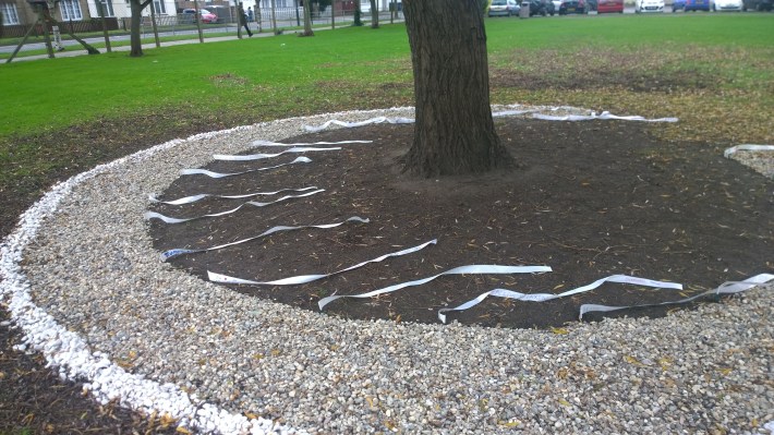 WP_20151210_13_52_12_Pro