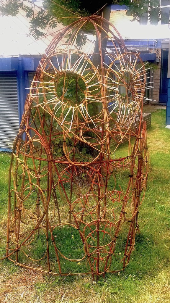 wp_20160708_13_24_15_pro