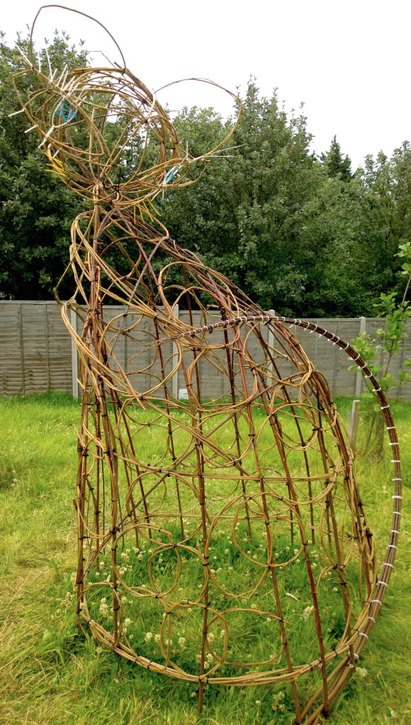 wp_20160708_13_25_54_pro