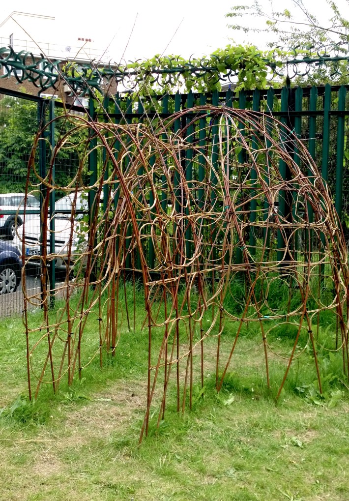 wp_20160708_13_27_14_pro